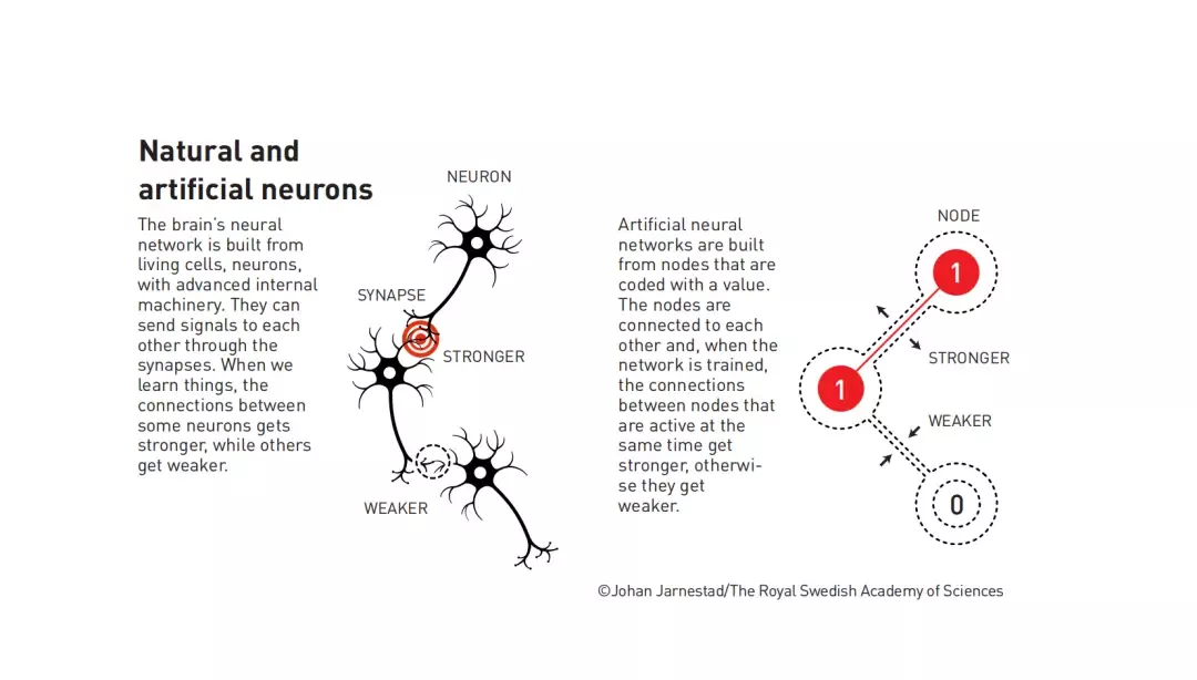 天然神经系统和人工神经网络的相似性。关于人工神经网络的理论在几十年前就已形成，但当时人们并没有找到实现它的方法