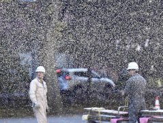 北海道去年爆发「雪虫危机」 昆虫专家：今年恐再度发生