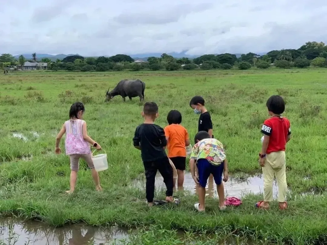 孩子有充足的机会接触大自然