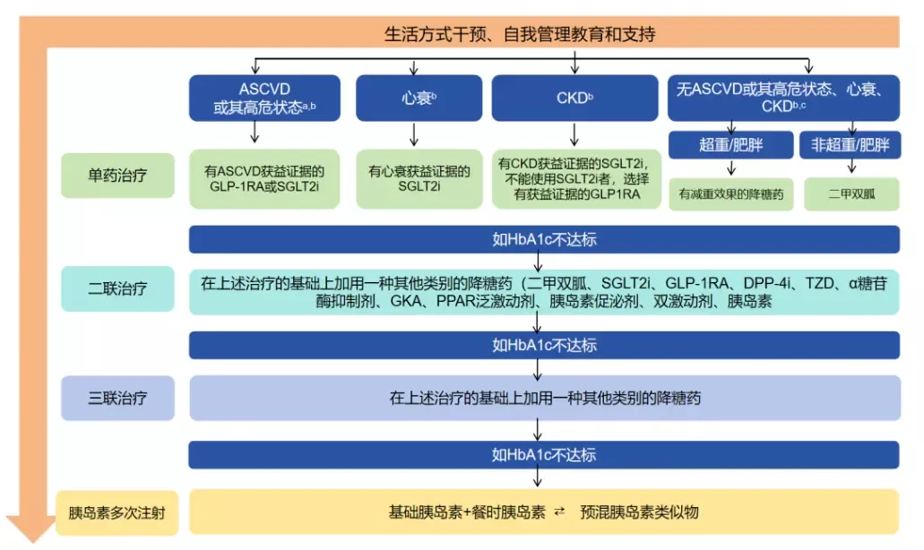 糖尿病治疗路径图（图源：丁香园内分泌时间，根据讲者 PPT 制作）