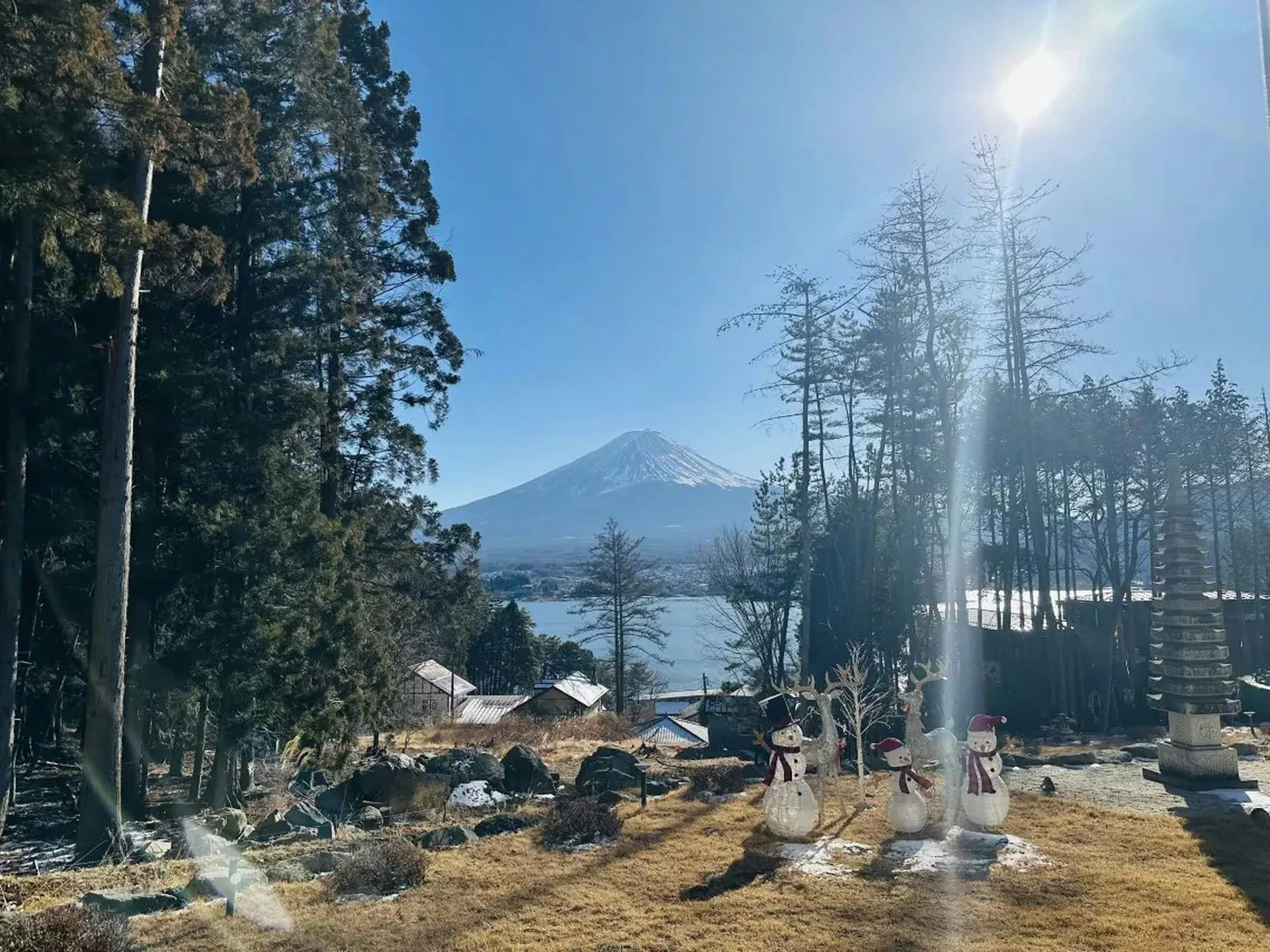 中资酒店老板嫌看不到富士山 砍邻居树+下毒…已逃亡