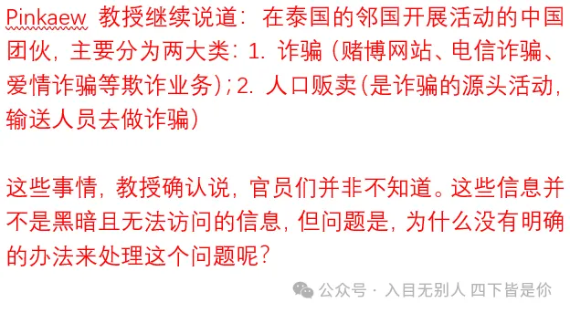 惊，太敢说了！泰国新闻辣评王星事件