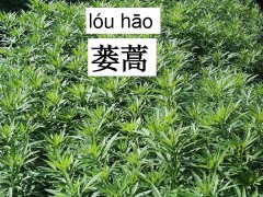 中国最被低估的10大美食   吃过3种算你厉害