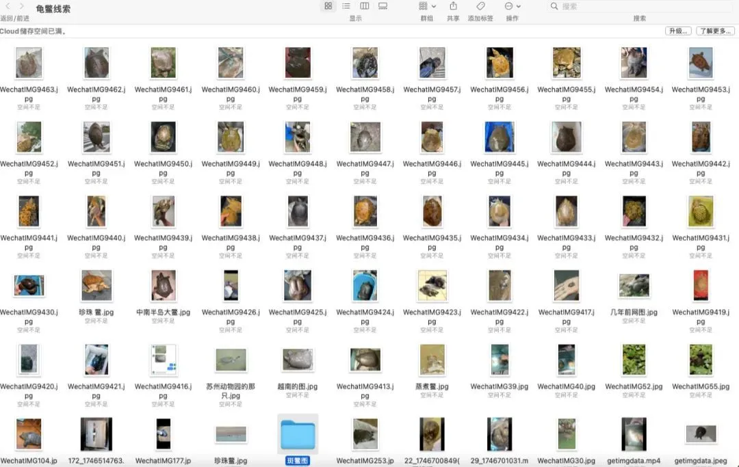 悬赏公告发出后，项目组一周收到上百条线索。图：受访者提供