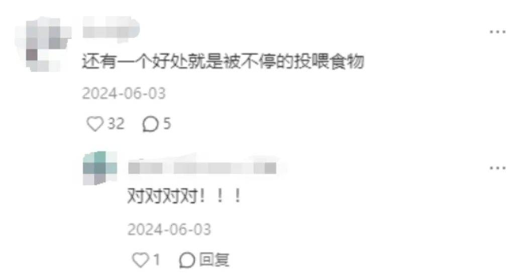 第一批混进老年徒步团的人，已经“进骨科”了