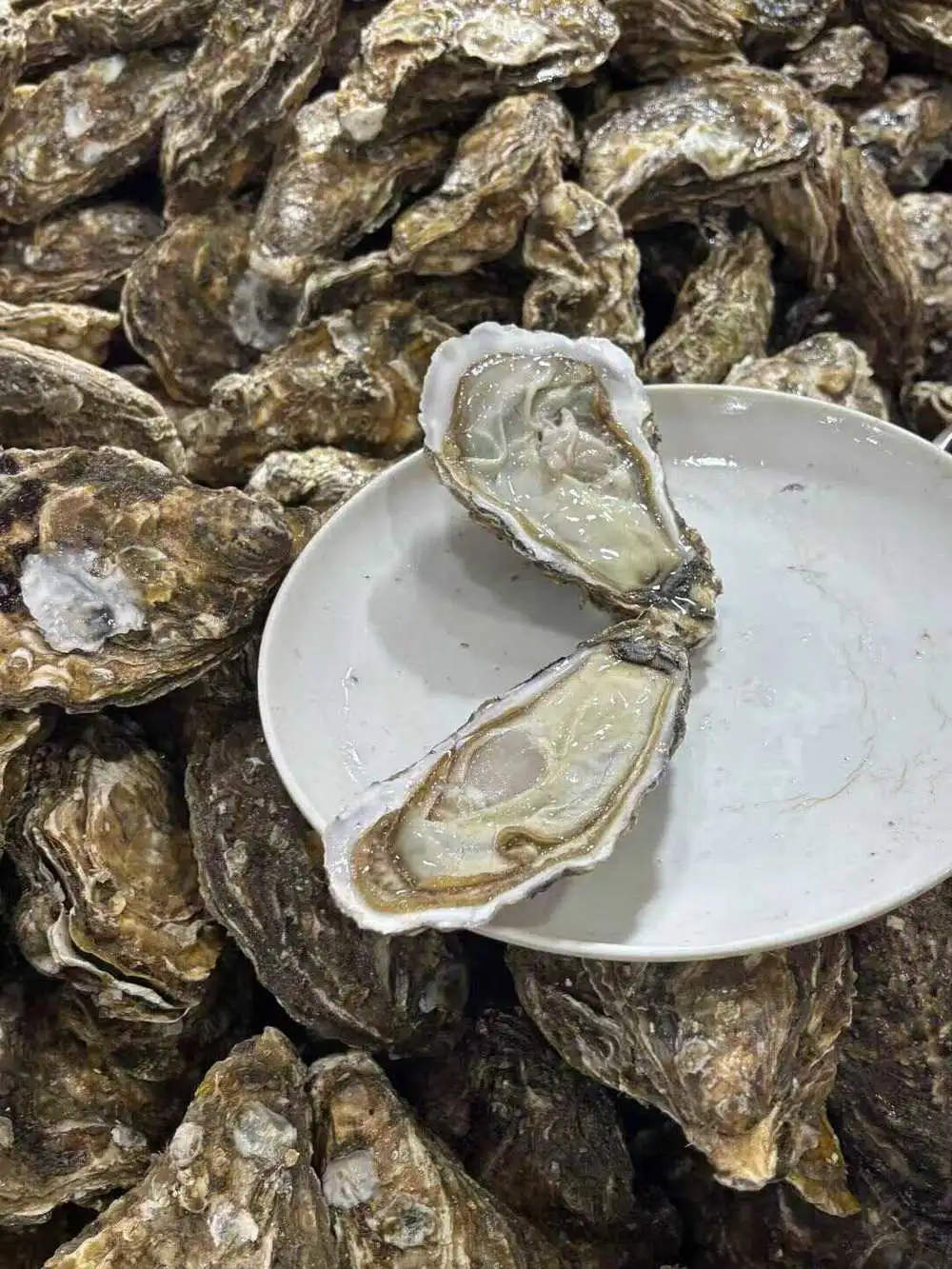 抢微波炉热饭，打工人的世界大战