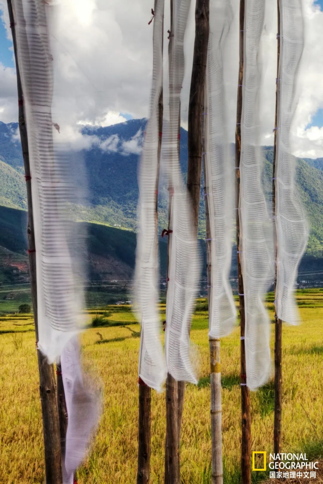 全球徒步者胜地：解锁神秘的佛教王国