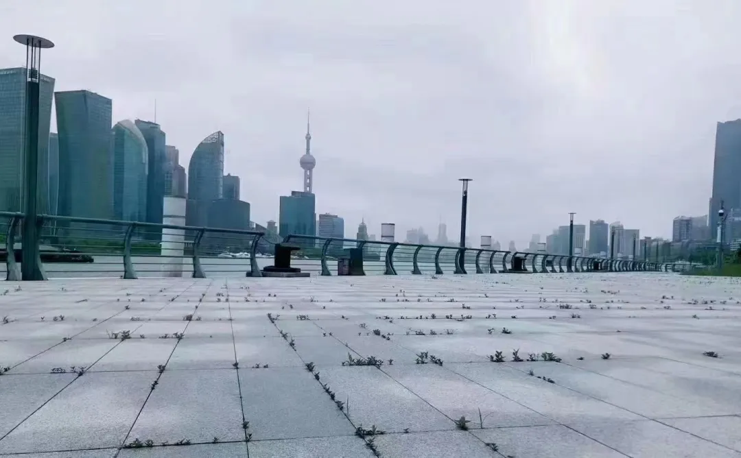 电价反常暴跌，外滩还要长草？
