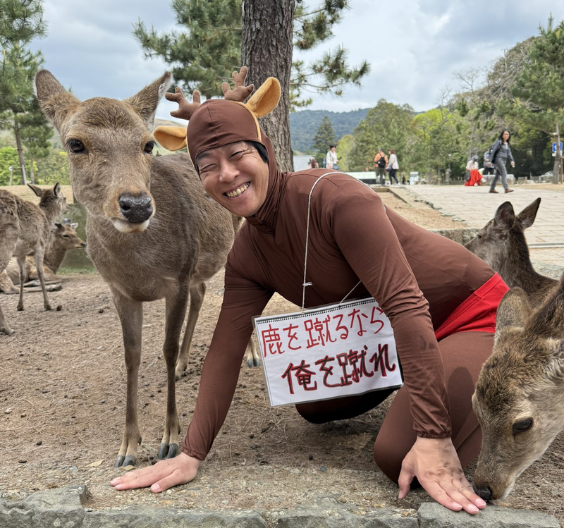 平時在日本奈良公園擔任守護鹿群的日本志工分享，若遇到中國遊客欺負奈良鹿，只要當場高喊「天安門事件」，對方就會嚇得立即逃跑。（圖擷取自@hezuruy 社群平台「X」）