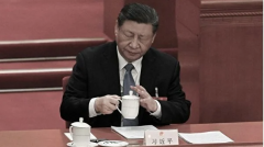 习动手术？四中全会存变局