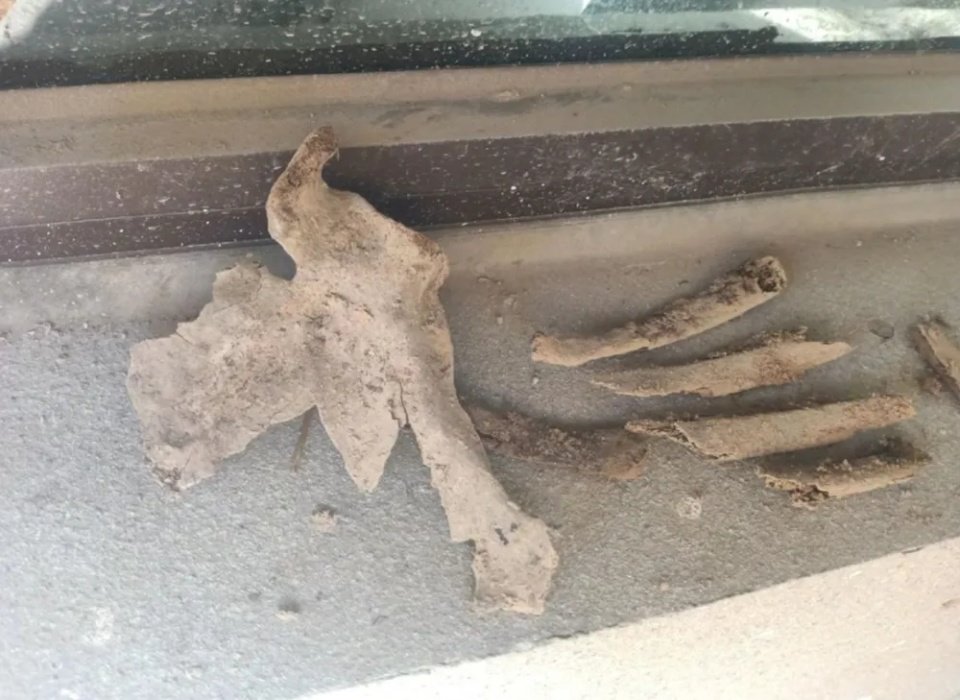 业主在新房院里挖出人骨想退房被拒，住建局回应