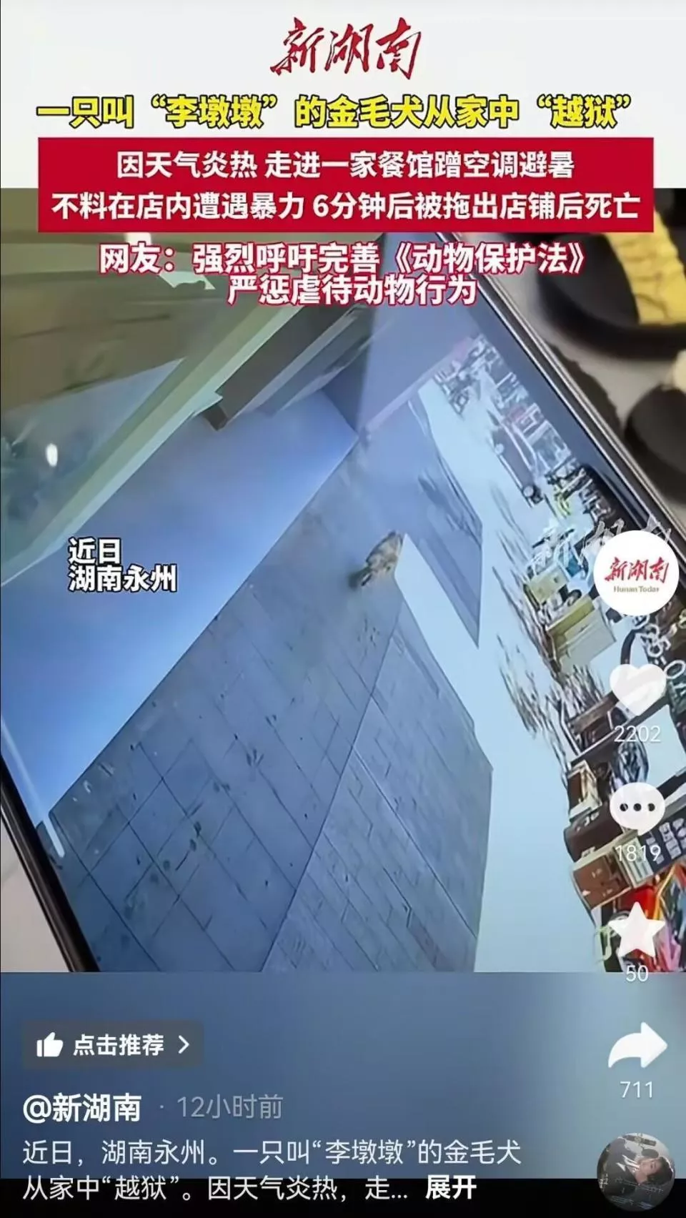 金毛犬在餐馆蹭空调避暑遭殴打致死？当地警方已介入