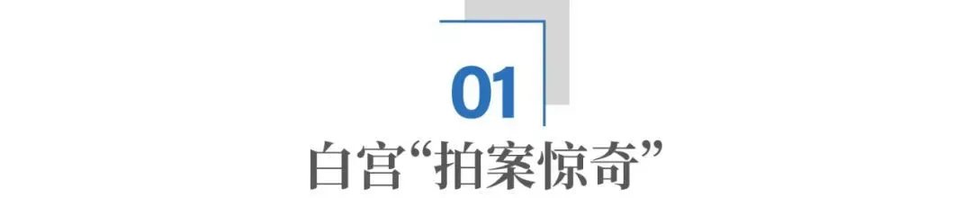 驴象之争闯进一匹马 马斯克，为什么非要从政？