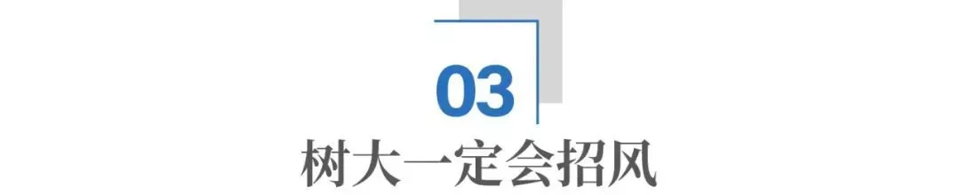 马斯克，为什么非要从政？