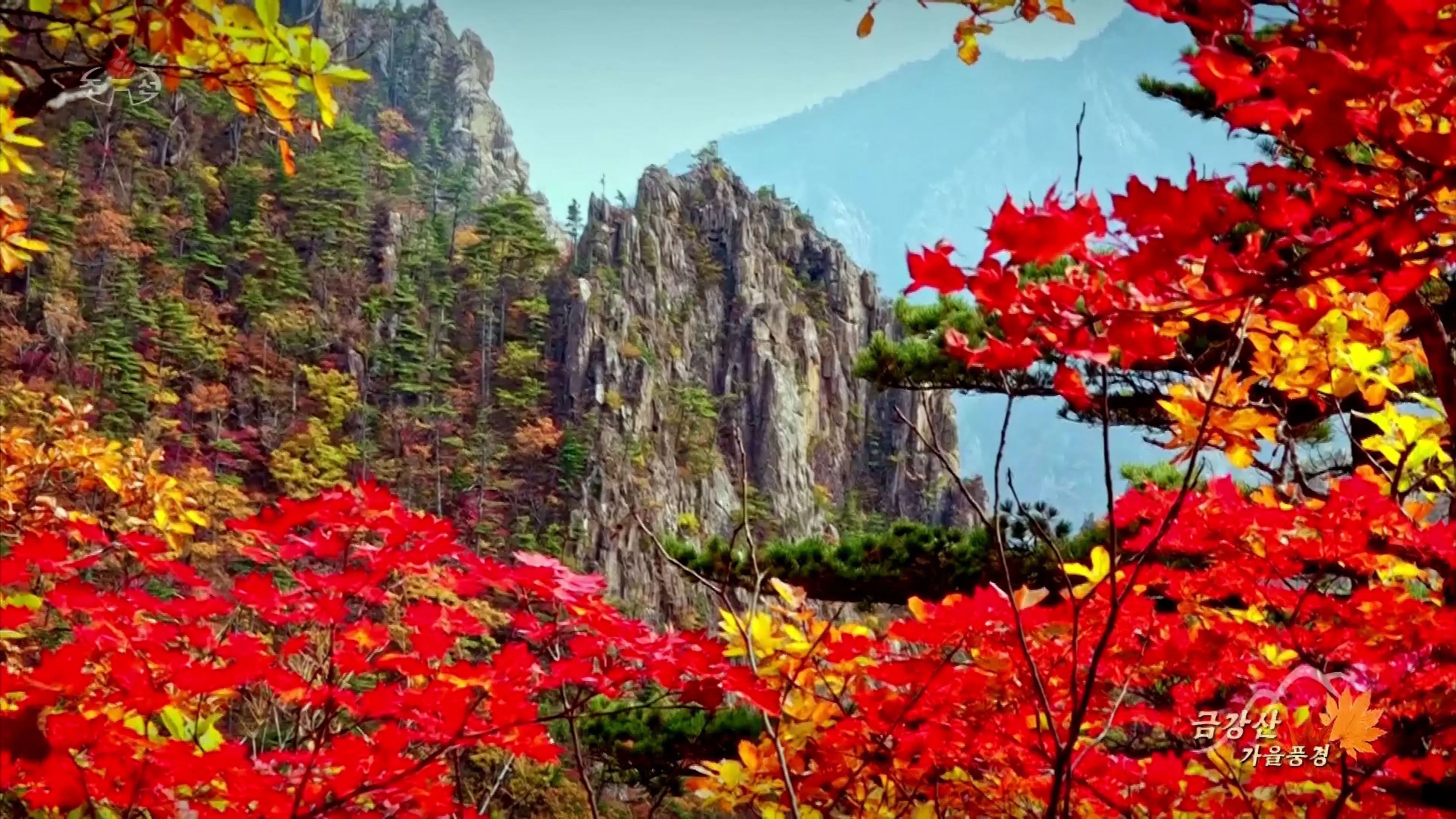 北宋文人都赞叹!北韩金刚山"成功申遗",代表团兴奋跪谢