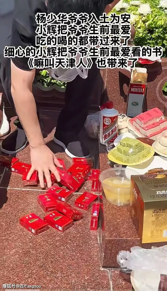 杨议辟谣父亲“累死”，称去世是解脱