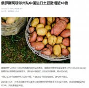 暴增40倍 俄国为何突然大量进口中国土豆?