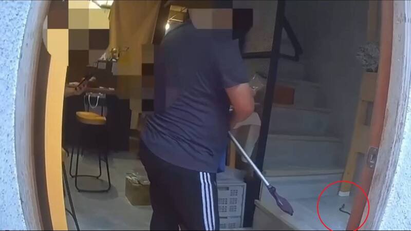 黑蛇眼镜蛇最后被顺利捕抓,化解危机。(图由民众提供) 黑蛇眼镜蛇最后被顺利捕抓,化解危机。(图由民众提供)