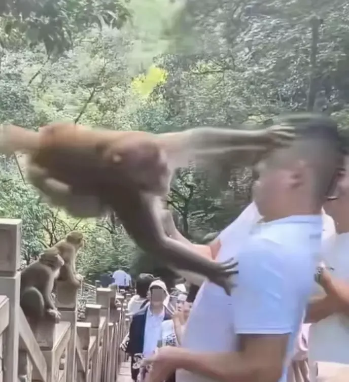 ▲视频截图