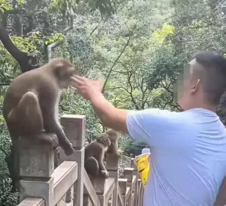 ▲视频截图