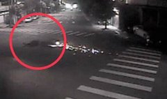 才拜拜回来！ 「豆豆先生」车行老板过马路遭撞亡 路面刮出火花画面曝