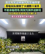 杨振宁别墅内景曝光 简约朴素 百万名画太抢眼！