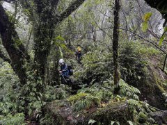 悬赏50万元!新北老翁登宜兰丛云山失联7天 家属祭重金寻人