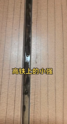 乘客实拍高铁车厢缝隙爬满蟑螂,列车员回应