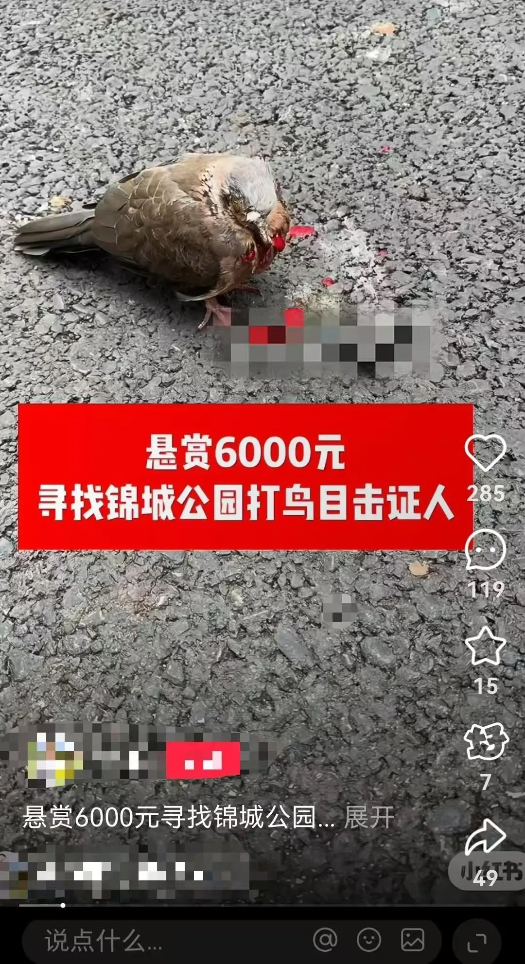 小区6户玻璃疑遭钢珠击碎 附近公园有鸟类被击中死亡