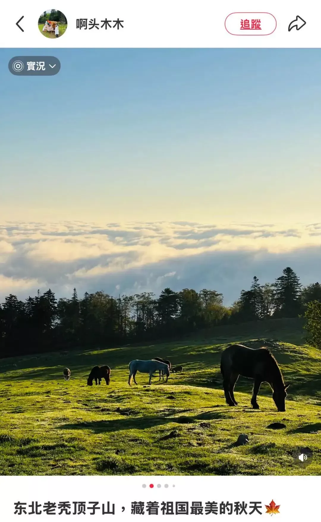 图源：小红书@啊头木木（已获授权）