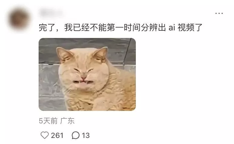 刷到一个又一个假视频后,我不敢相信互联网了