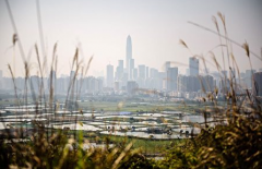 前所未有危机 上海甲级写字楼也崩了