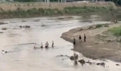 KK园区大崩逃！上千人“跳河出逃”画面疯传