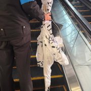 北京“冲塔”勇士再现 痛斥共产党“邪教”