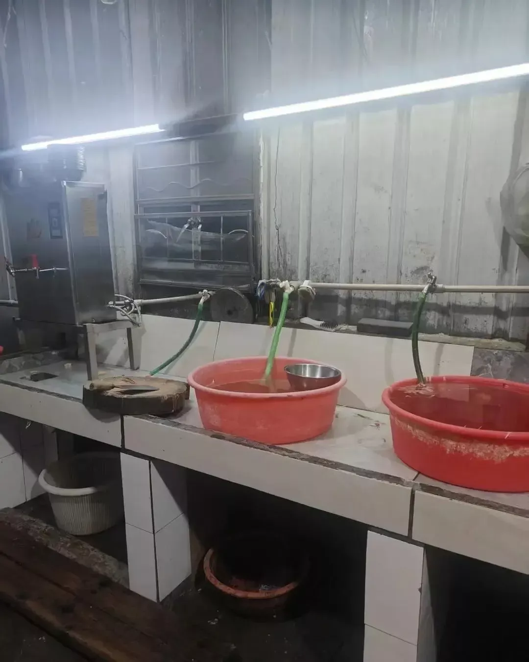 ▲该店后厨已见不到活猫的踪迹