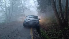 南庄加里山大坪登山口大雾山友车卡侧沟 与4天前地点仅差左、右侧