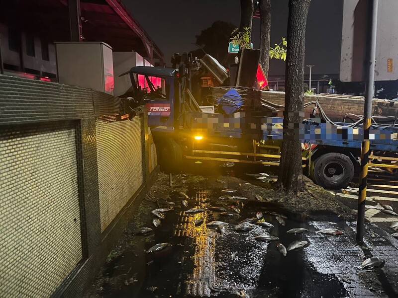 大货车自撞围墙，鲈鱼掉落地面死亡。（民众提供）