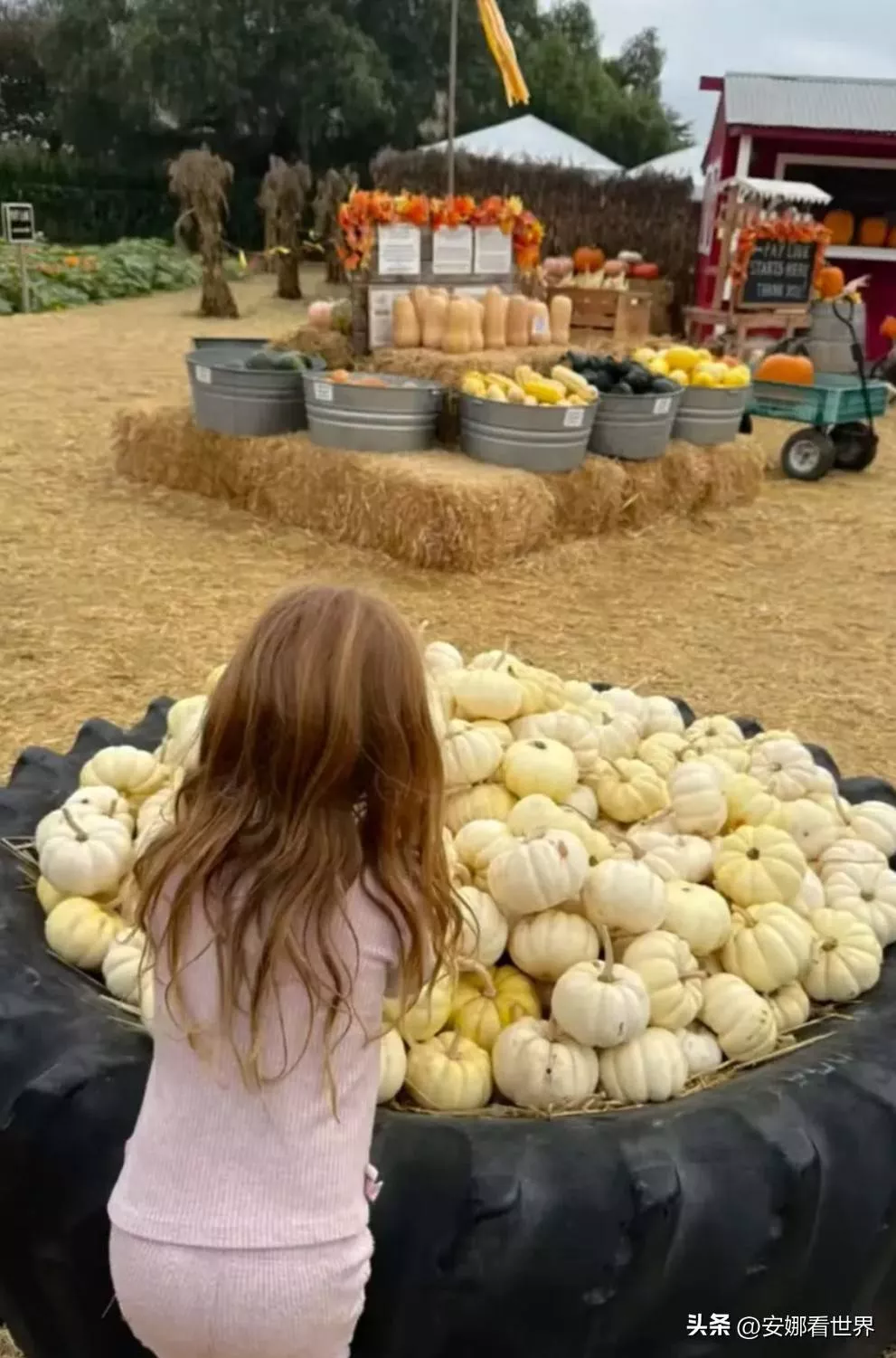 梅根晒娃晒了个寂寞,阿奇丽丽贝无法媲美凯特三宝