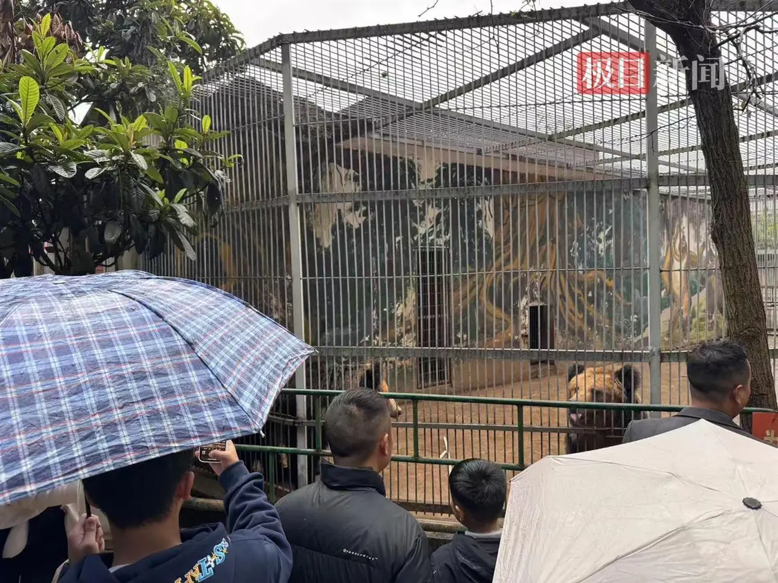 下雨天游客兴致不减游览凯里动物园