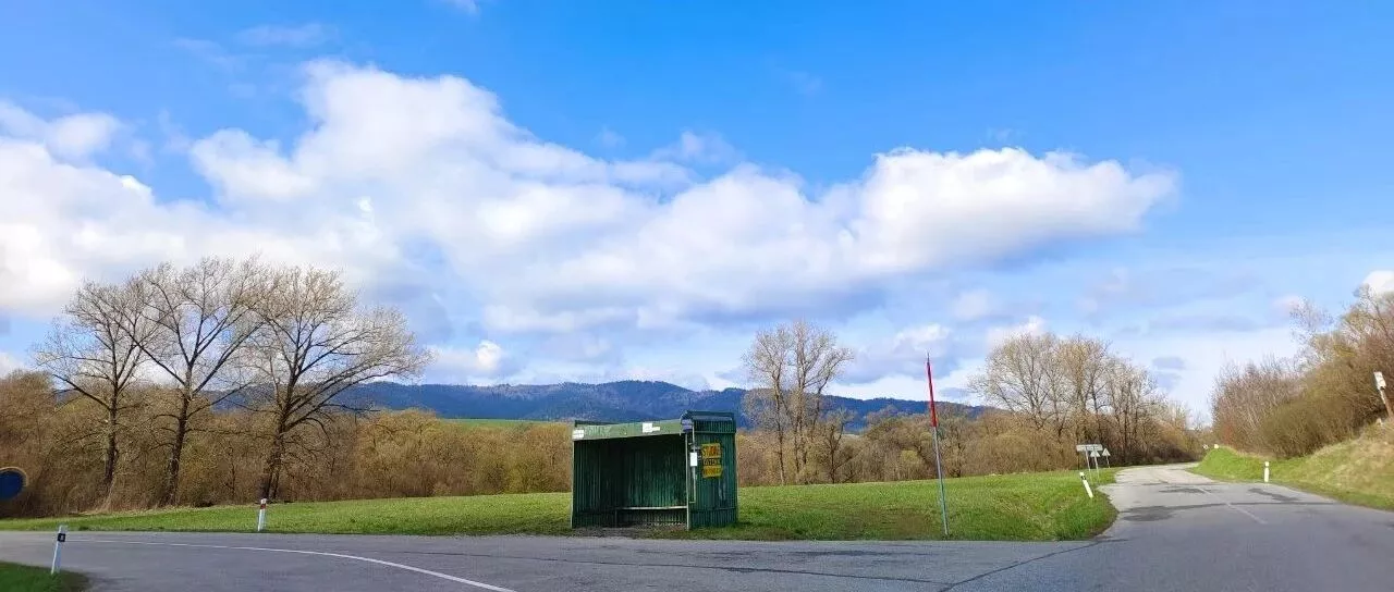 沉迷于房产和铁饭碗的“长远眼光”,只不过是短期经验