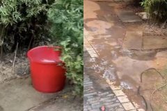 臭气熏天!中国一公园离公厕不到百米 竟摆水桶供民众露天大小便