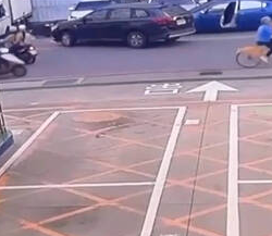 监视器拍下警方的侦防车，挡住犯嫌蓝色汽车去路。（记者徐圣伦翻摄）