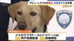 汪汪立大功！ 日本新上任缉毒犬查获走私大麻