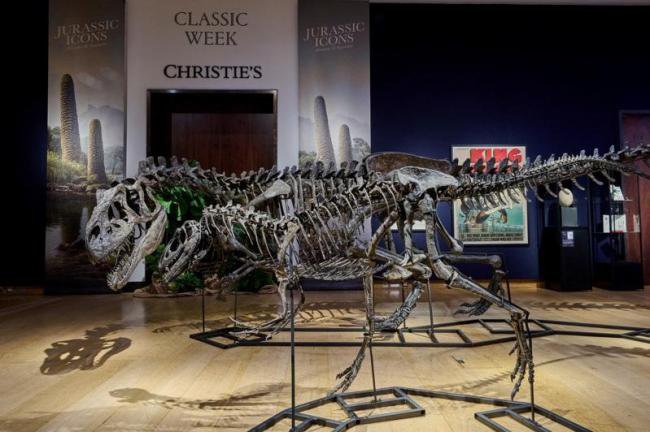 中国大佬竟持有侏罗纪恐龙化石？逃亡英国被查抄