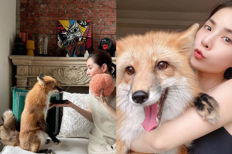 前伊林名模萧玮葶。（图翻摄自萧女IG）