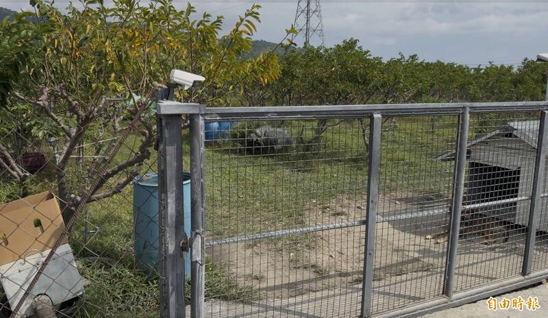 摄影机加看门狗守护释迦园，小偷仍会找其他地方侵入。（记者刘人玮摄）