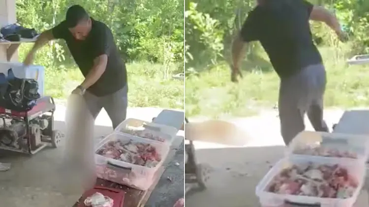 狗狗乞食竟遭当场虐杀 他被悬赏5000万全国肉搜