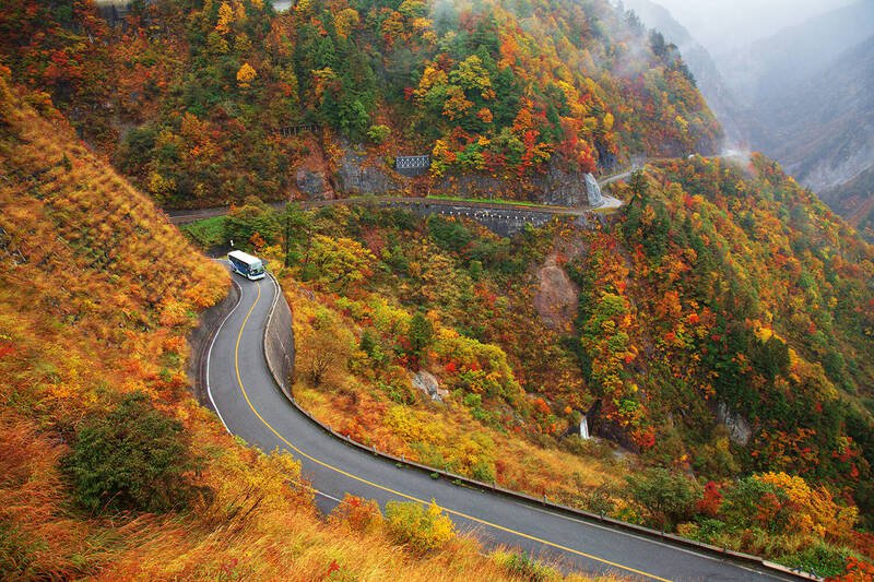 日本石川县白山白川郷白色公路，许发生车辆冲破围栏坠崖的事故，导致80来岁老夫妇双亡。图为白色公路示意图。（图撷自白山白川郷ホワイトロード官网）