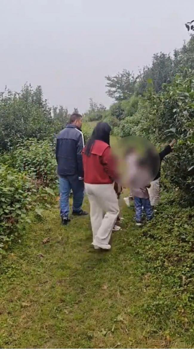 云南“野孩子”事件 官方通报来了