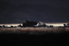 土耳其C-130运输机坠毁 防长：机上20人全罹难